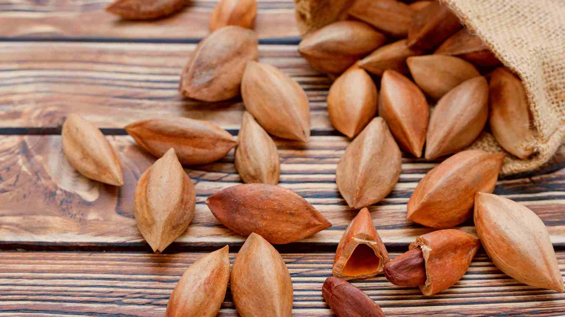 Value Adding Activities for Ngali Nut